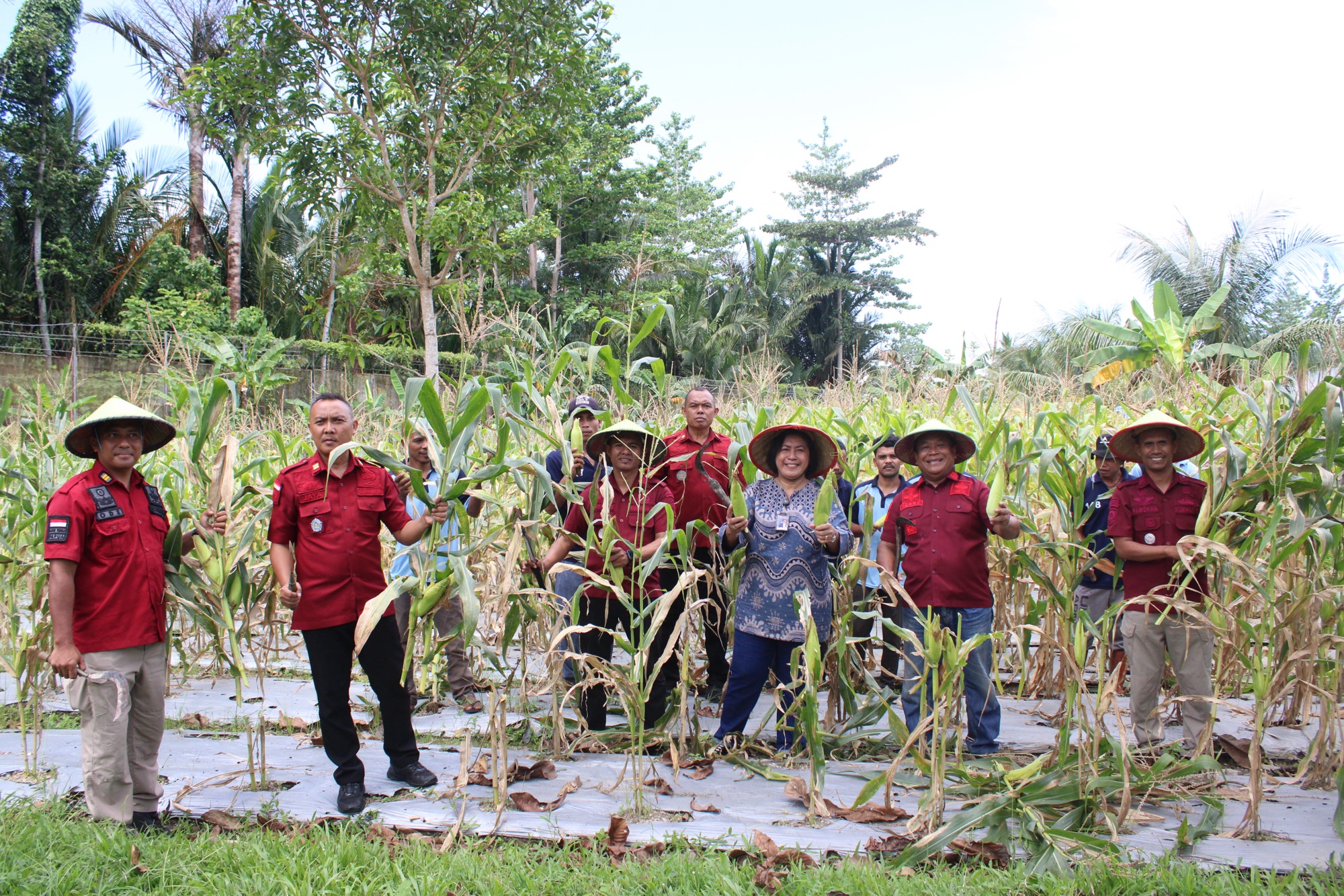 Penguatan Keamanan dan Panen Jagung, Kanwil Ditjenpas Maluku Perkuat Pembinaan dan Kemandirian Warga Binaan Lapas Piru