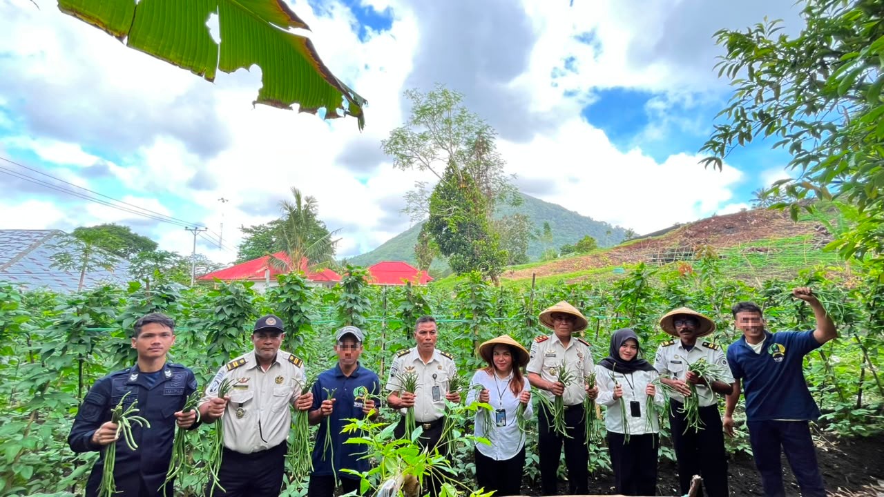 Dukung Ketahanan Pangan, Lapas Bandanaira Kembali Panen 30 Ikat KacangPanjang di Lahan SAE 